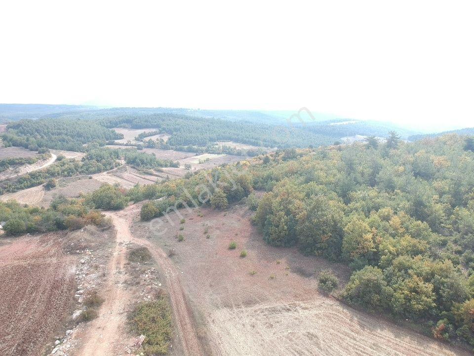 Bilecik Gölpazarı Büyüksusuz 2228 M2 Yola Cephe Köy Manzaralı - Görsel 7