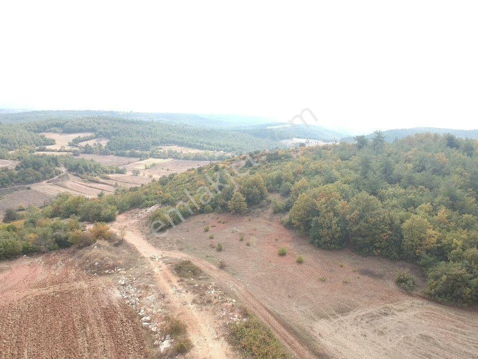 Bilecik Gölpazarı Büyüksusuz 2228 M2 Yola Cephe Köy Manzaralı - Görsel 3
