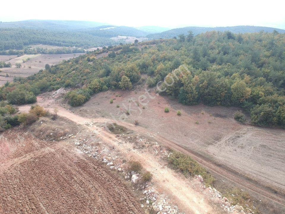 Bilecik Gölpazarı Büyüksusuz 2228 M2 Yola Cephe Köy Manzaralı - Görsel 6