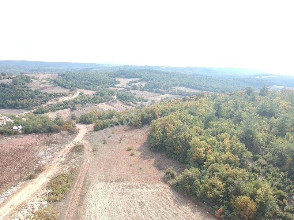 Bilecik Gölpazarı Büyüksusuz 2228 M2 Yola Cephe Köy Manzaralı - Görsel 8
