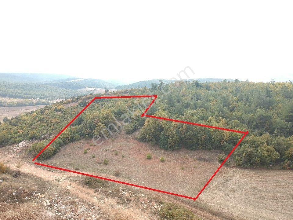 Bilecik Gölpazarı Büyüksusuz 2228 M2 Yola Cephe Köy Manzaralı - Görsel 13