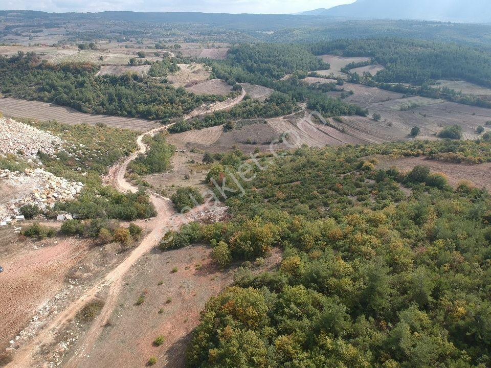Bilecik Gölpazarı Büyüksusuz 2228 M2 Yola Cephe Köy Manzaralı - Görsel 10