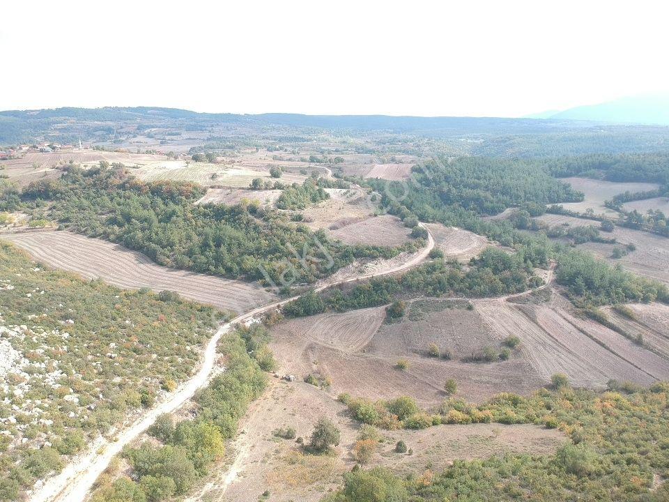 Bilecik Gölpazarı Büyüksusuz 2228 M2 Yola Cephe Köy Manzaralı - Görsel 17