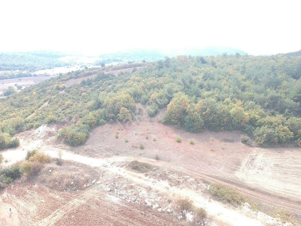 Bilecik Gölpazarı Büyüksusuz 2228 M2 Yola Cephe Köy Manzaralı - Görsel 16