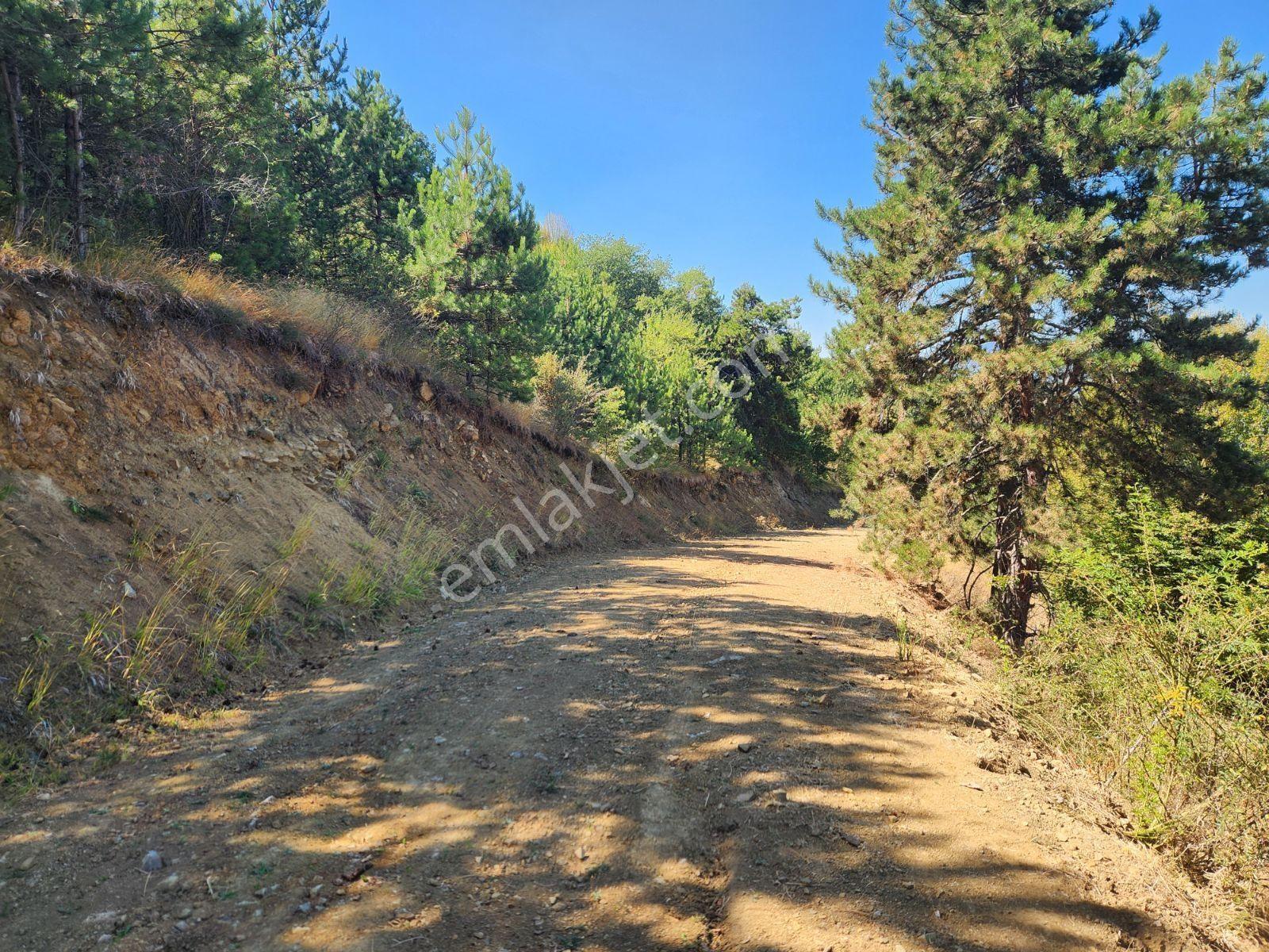 Karabük Eskipazar 10.842 M2 Köy Manzaralı Yolu Var 615 Bin Tl - Görsel 19