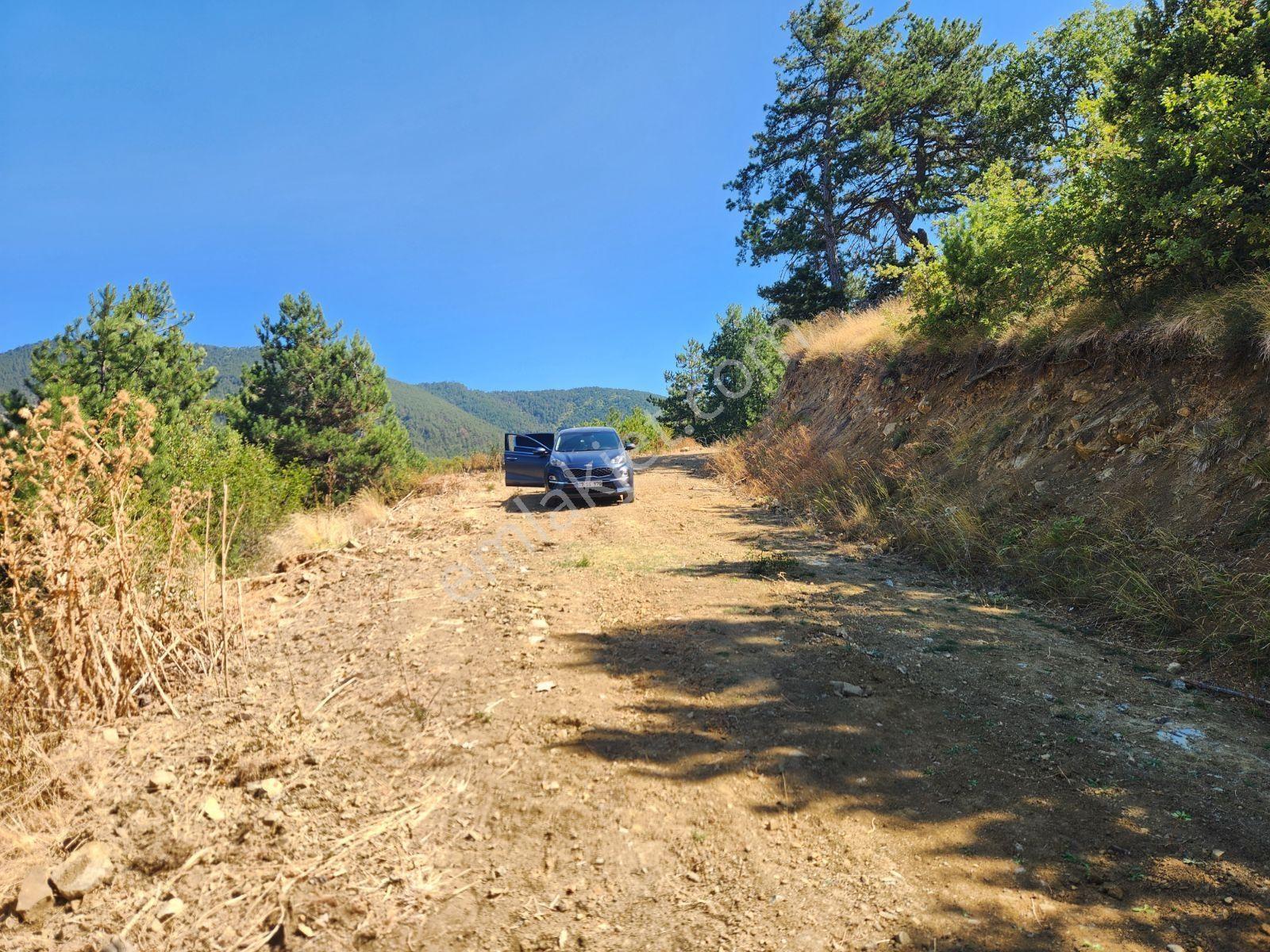 Karabük Eskipazar 10.842 M2 Köy Manzaralı Yolu Var 615 Bin Tl - Görsel 3
