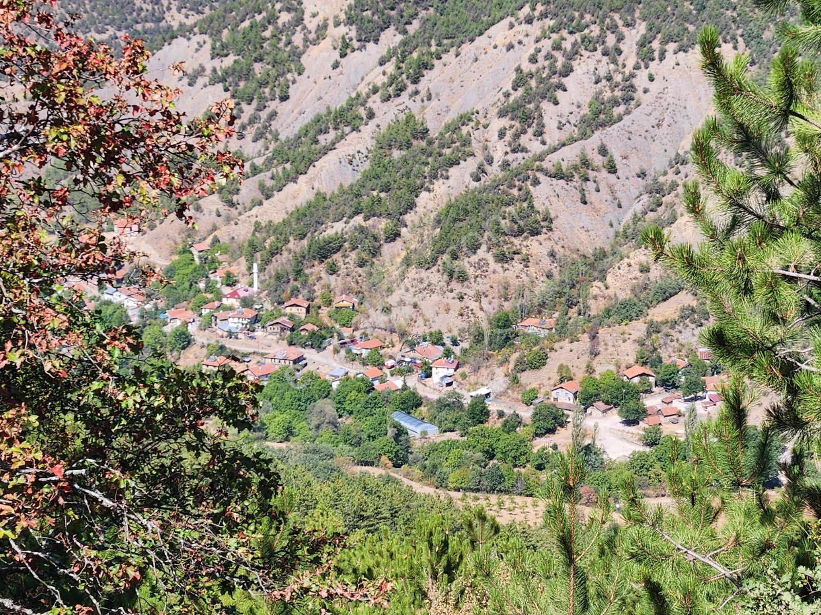 Karabük Eskipazar 10.842 M2 Köy Manzaralı Yolu Var 615 Bin Tl - Görsel 23