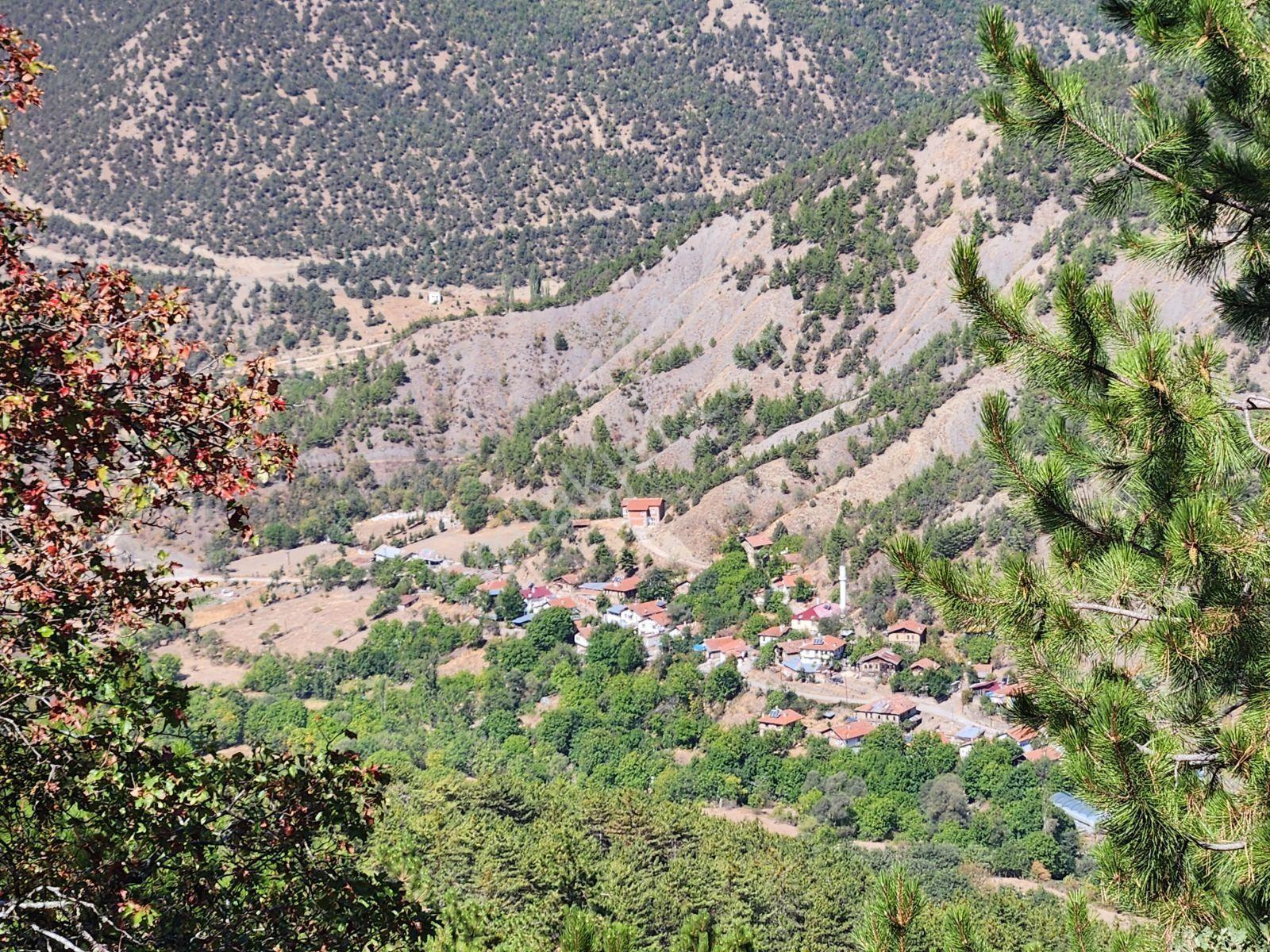 Karabük Eskipazar 10.842 M2 Köy Manzaralı Yolu Var 615 Bin Tl - Görsel 33