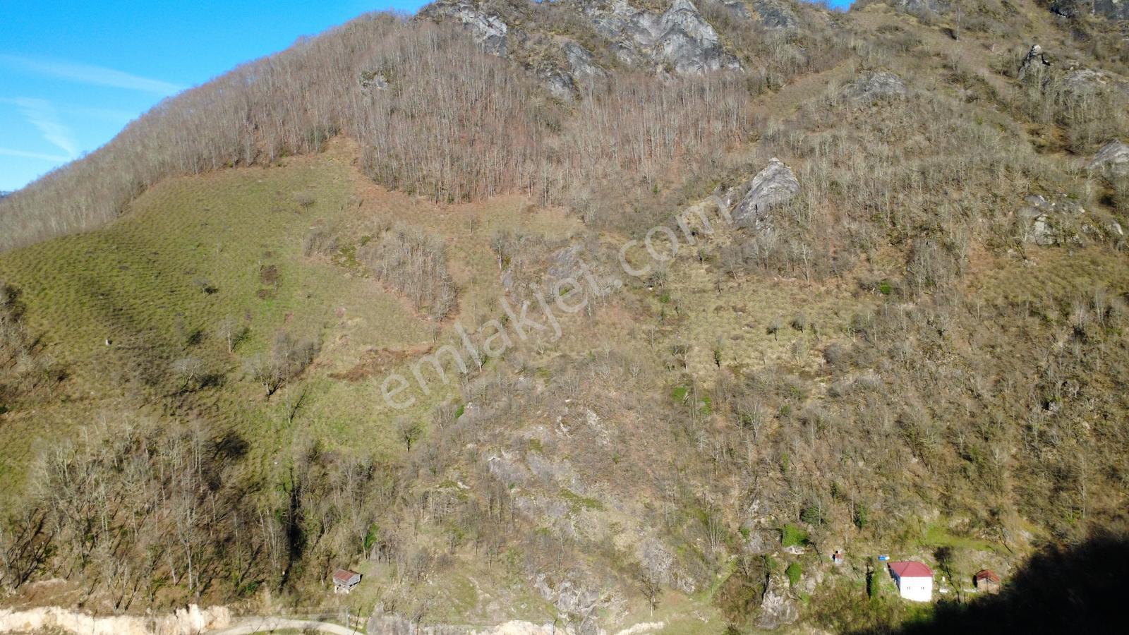 Ordu Gölköy'de Satılık Arazi - Görsel 17