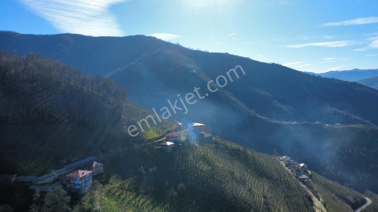 Ordu Gölköy'de Satılık Arazi - Görsel 32