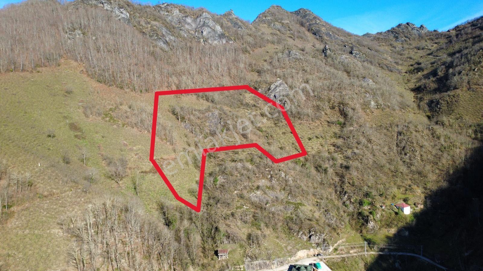 Ordu Gölköy'de Satılık Arazi - Görsel 9