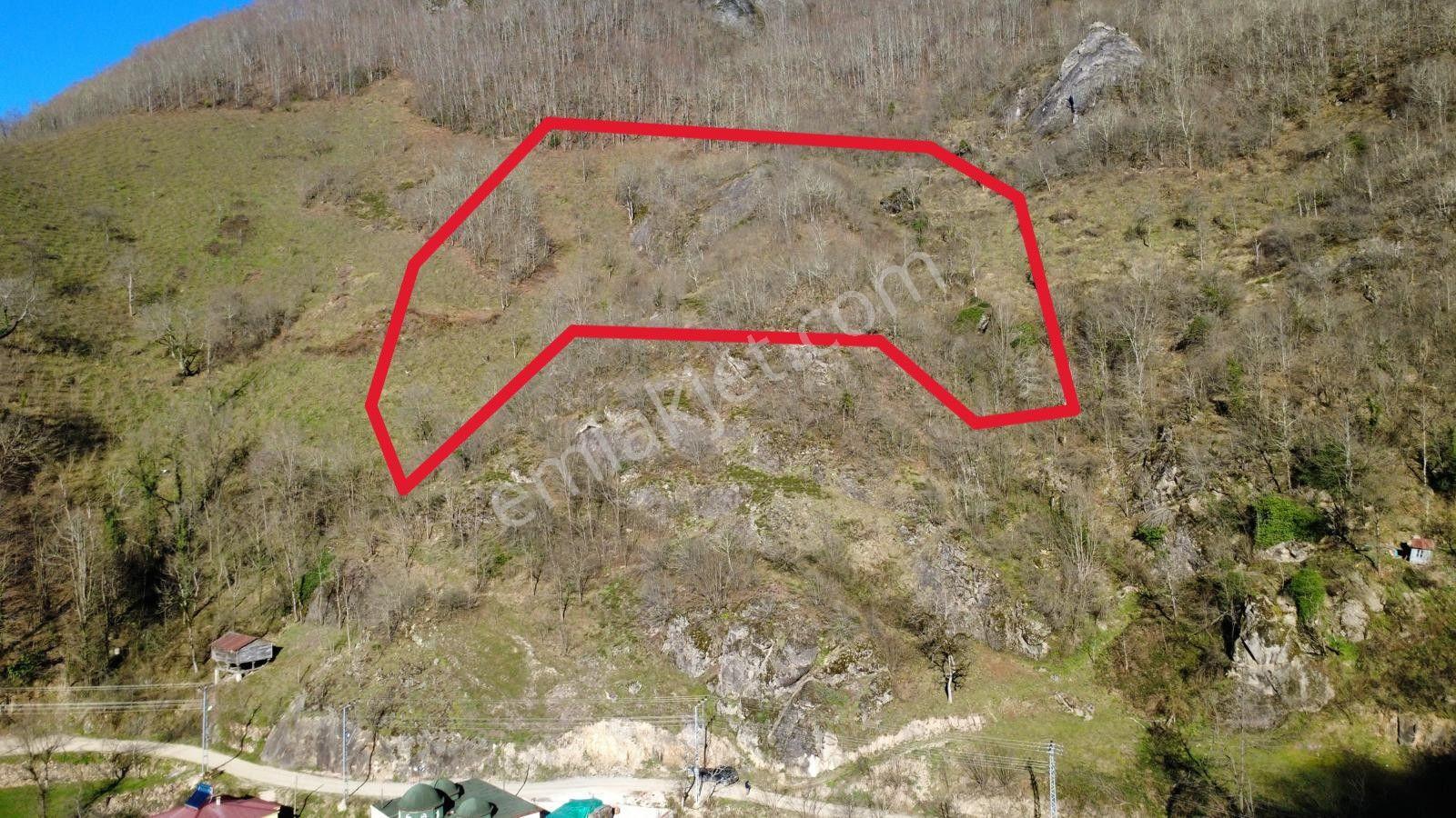 Ordu Gölköy'de Satılık Arazi - Görsel 7