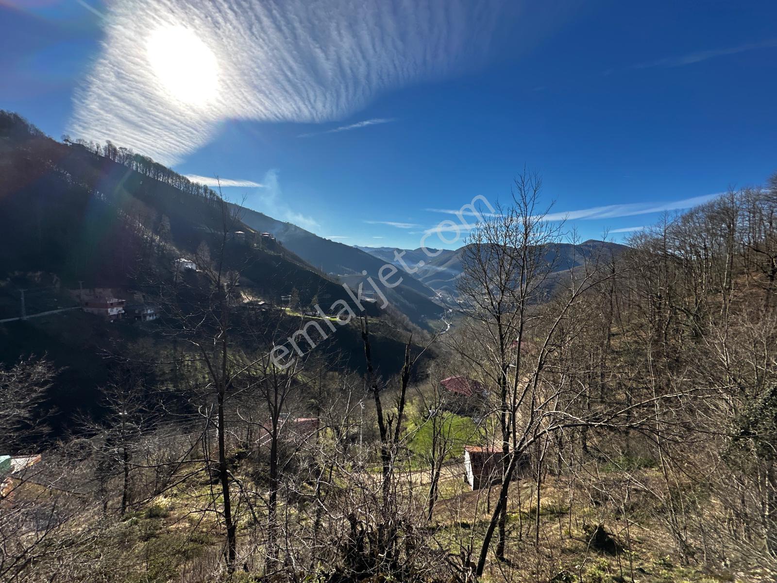 Ordu Gölköy'de Satılık Arazi - Görsel 20