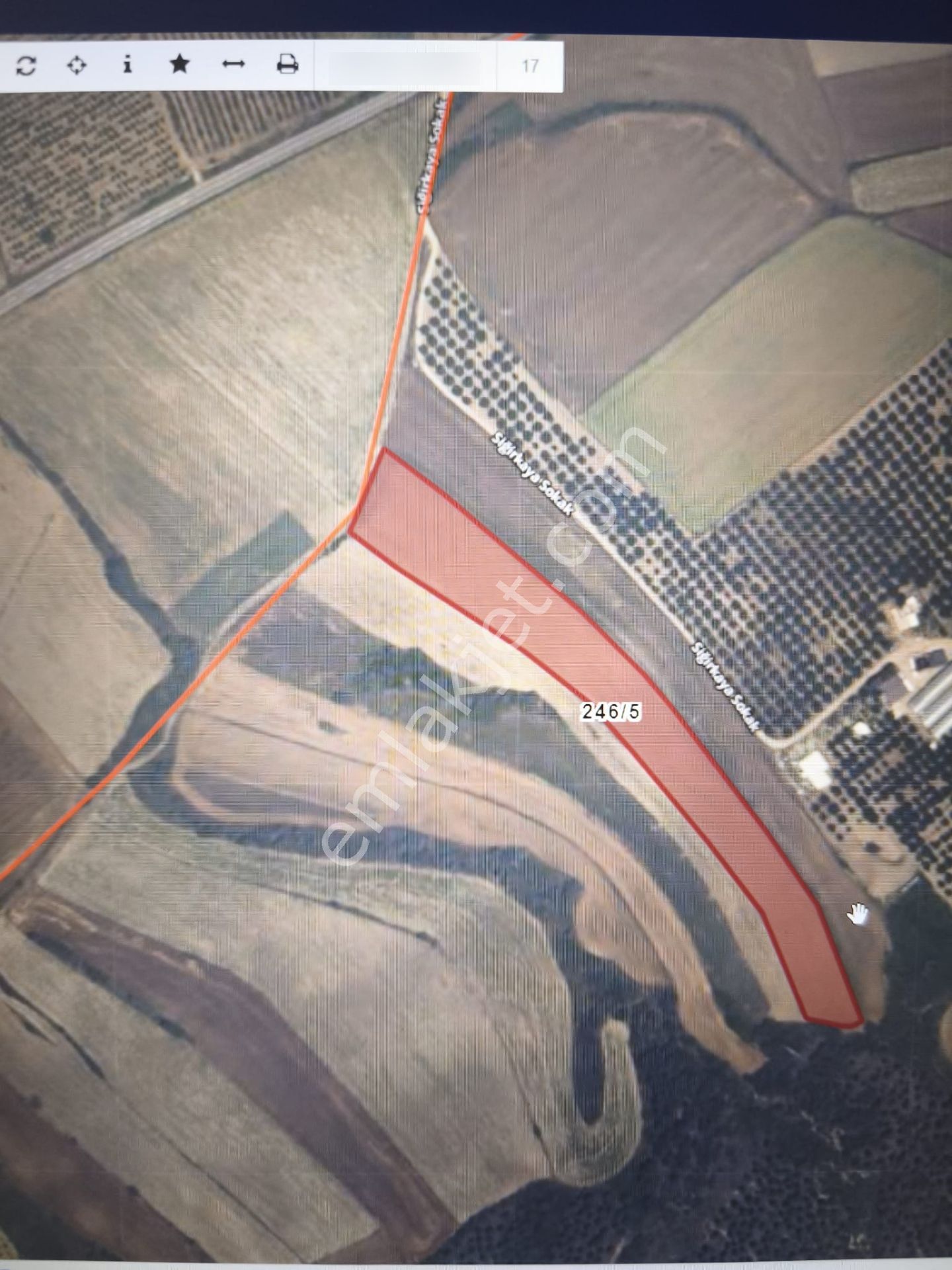 Gelibolu Kavakköy’de 15 Dönüm Tarla – Köprüye 4 Km – İmara 800 M Mesafede