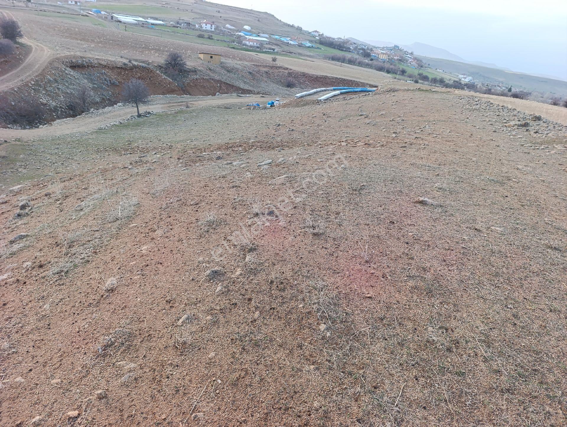 Elazığ Salkaya(hersenk) Satılık Yatırımlık Tarla - Görsel 6