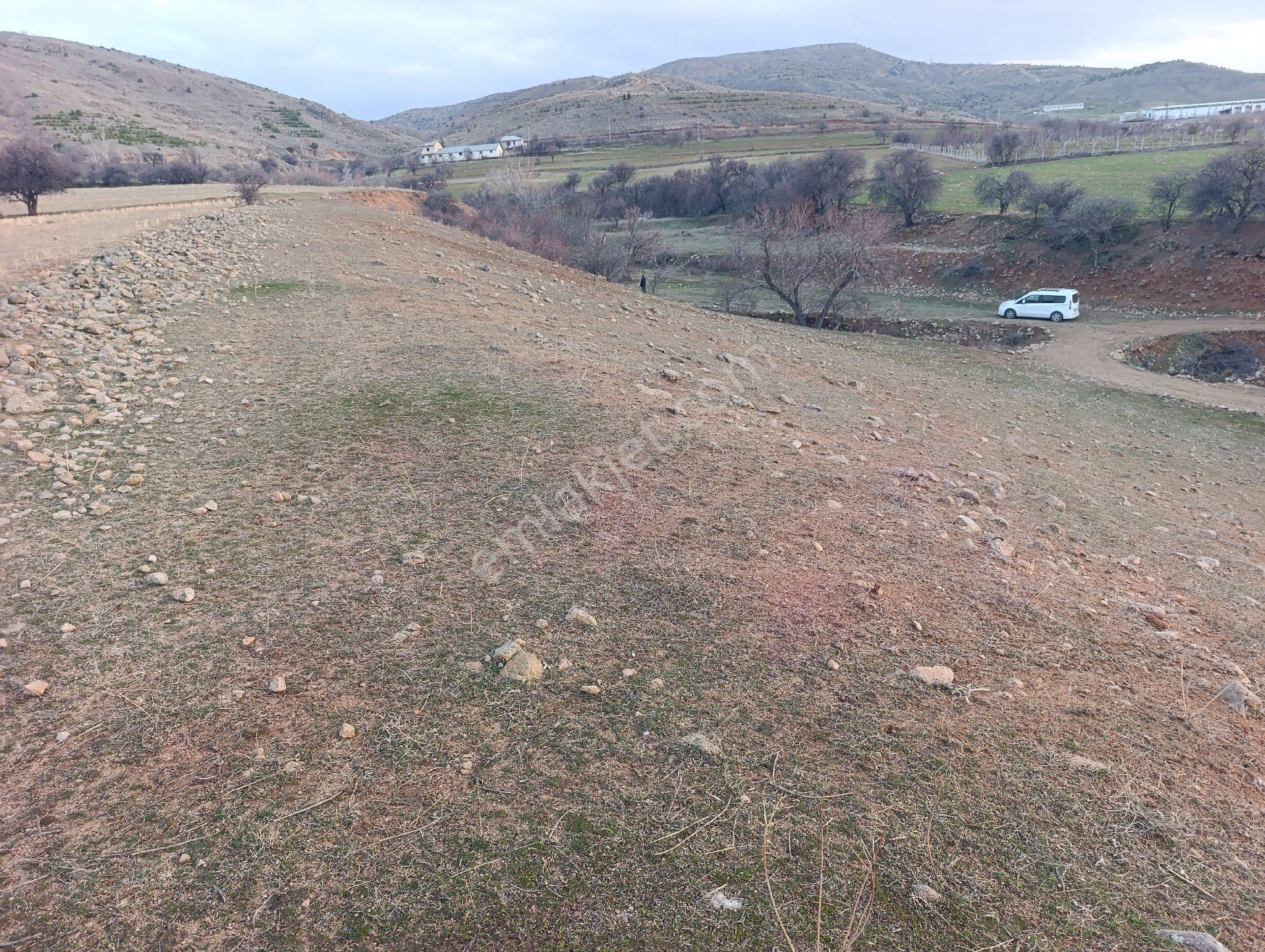 Elazığ Salkaya(hersenk) Satılık Yatırımlık Tarla - Görsel 5