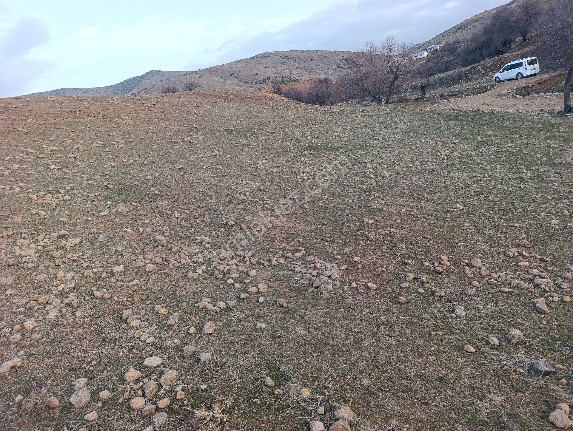 Elazığ Salkaya(hersenk) Satılık Yatırımlık Tarla - Görsel 3