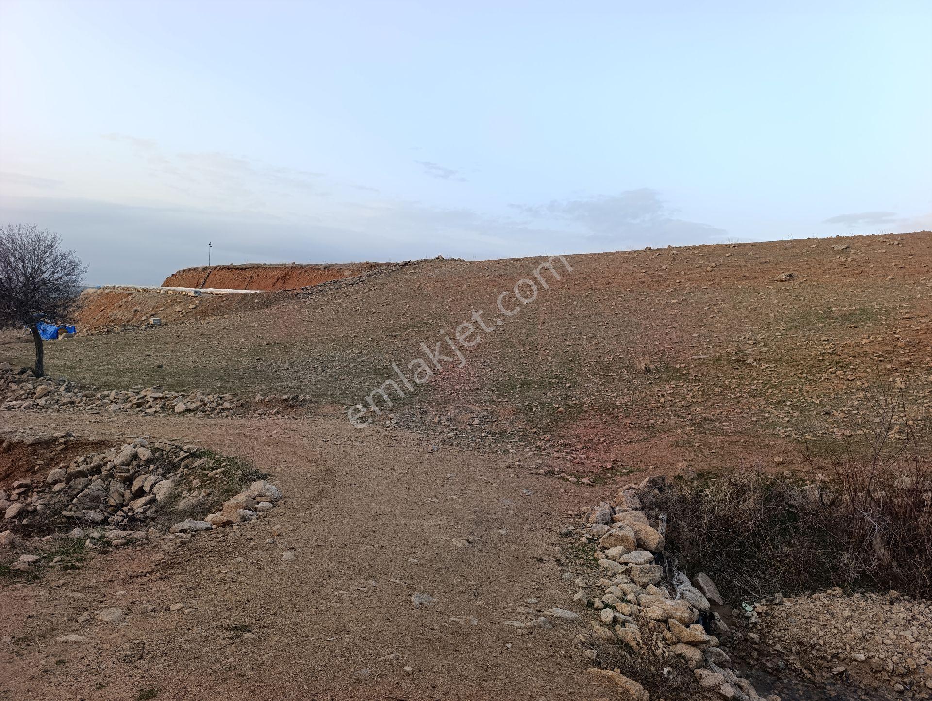 Elazığ Salkaya(hersenk) Satılık Yatırımlık Tarla