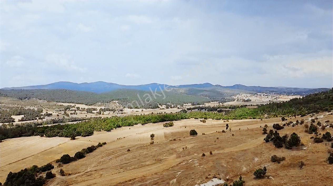 Kütahya Tavşanlı Ağaköy 6159 M2 Tarla Sadece 260 Bın Tl - Görsel 17
