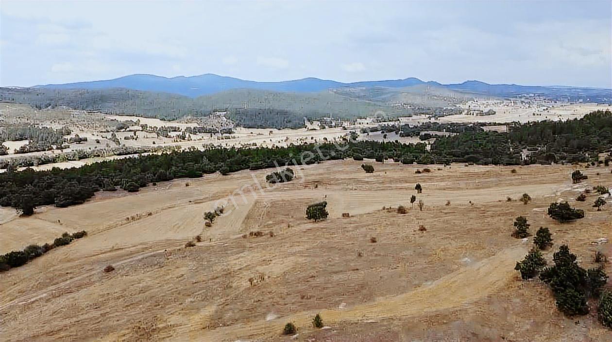 Kütahya Tavşanlı Ağaköy 6159 M2 Tarla Sadece 260 Bın Tl - Görsel 14