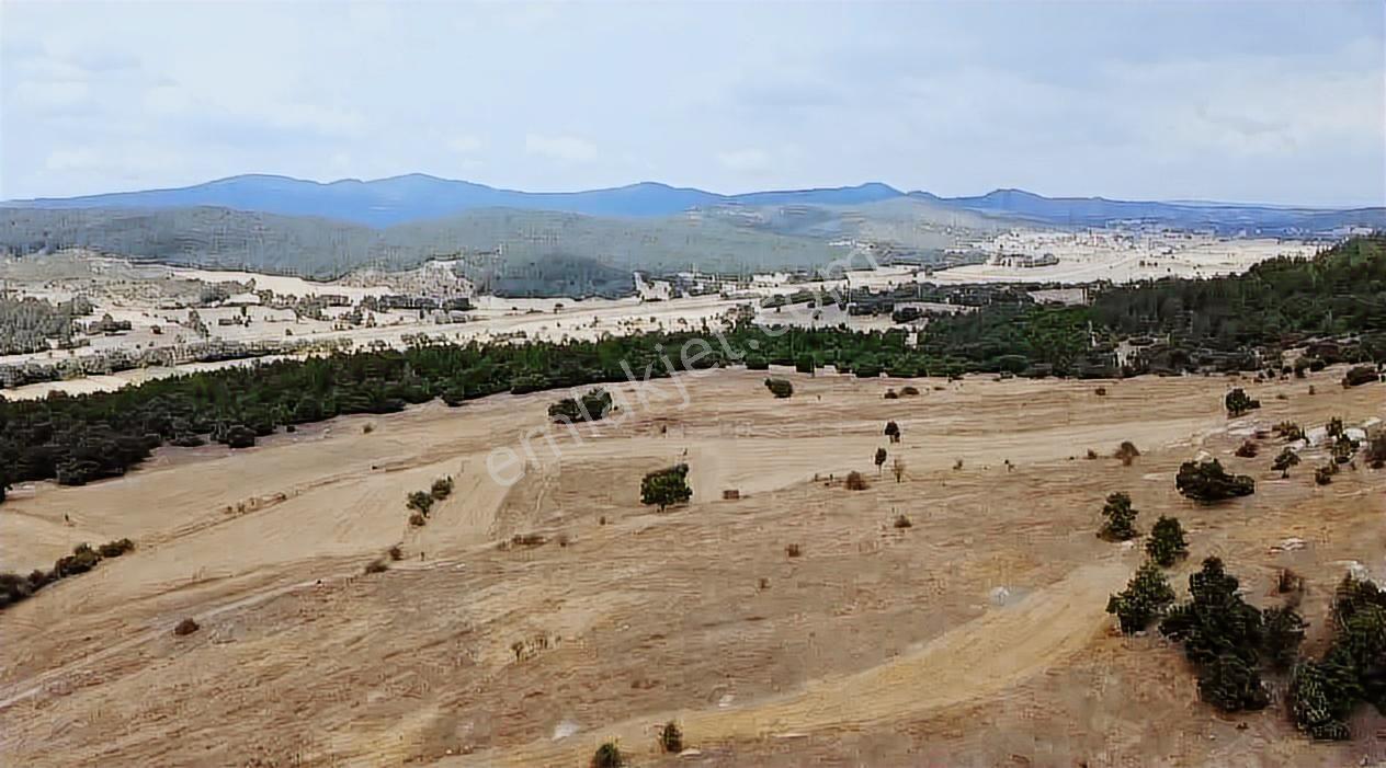 Kütahya Tavşanlı Ağaköy 6159 M2 Tarla Sadece 260 Bın Tl - Görsel 11