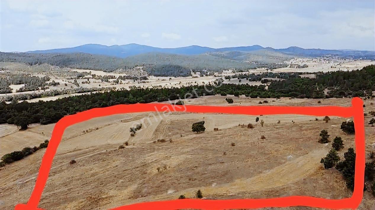 Kütahya Tavşanlı Ağaköy 6159 M2 Tarla Sadece 260 Bın Tl - Görsel 2