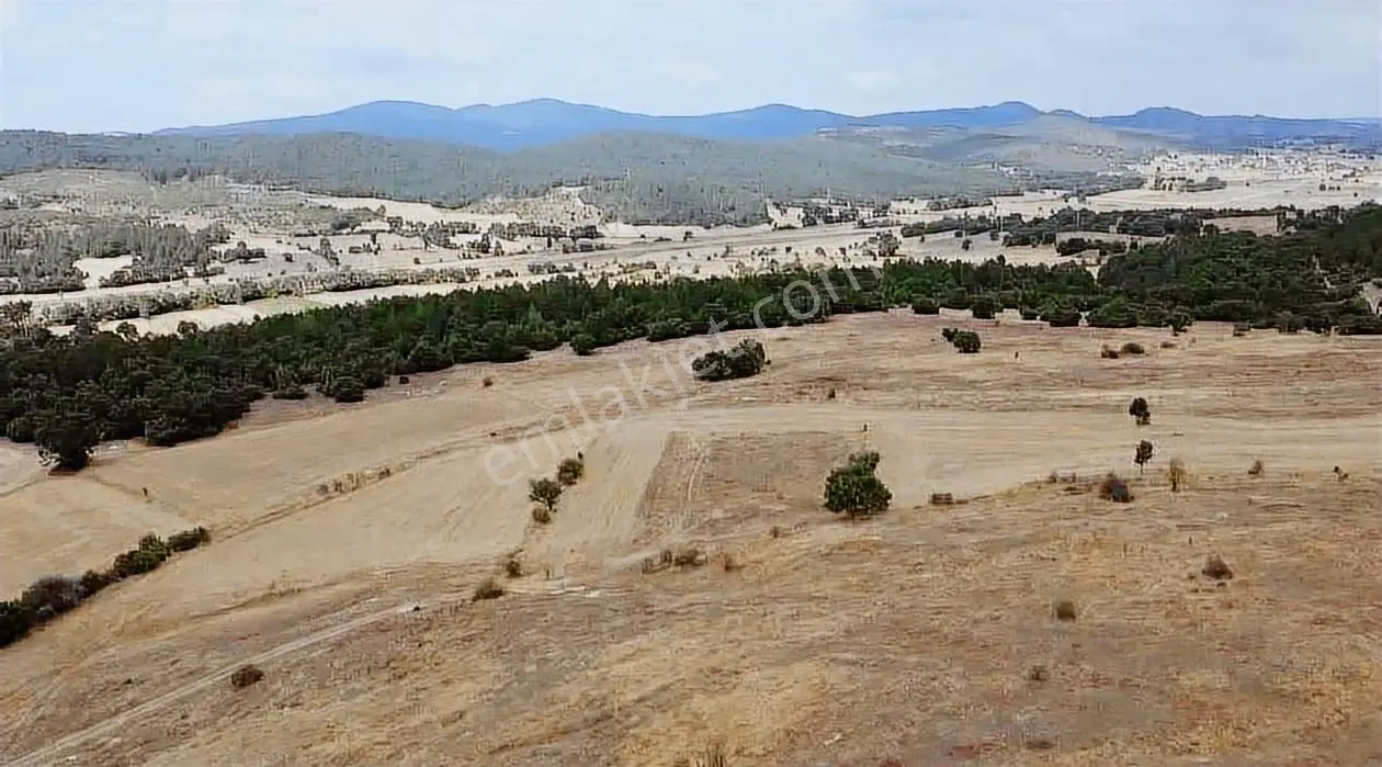 Kütahya Tavşanlı Ağaköy 6159 M2 Tarla Sadece 260 Bın Tl