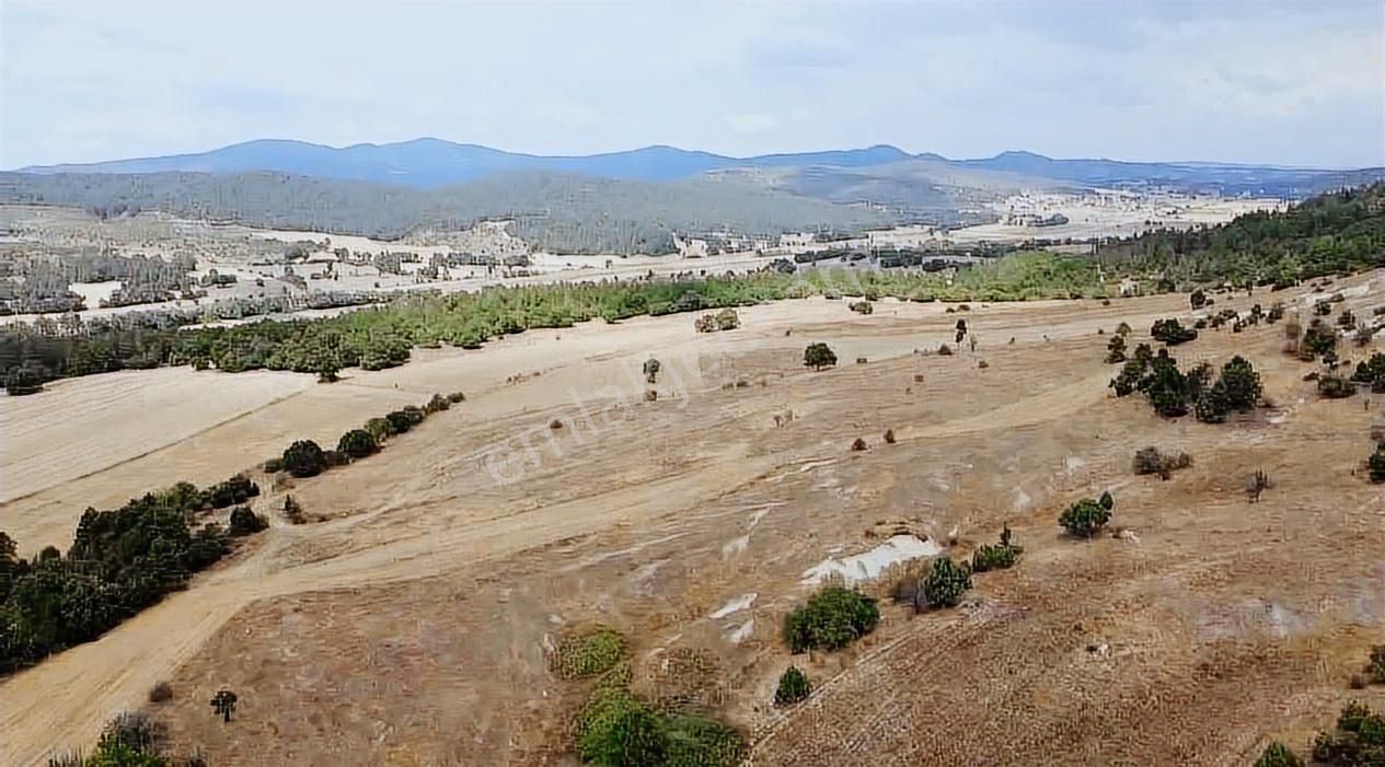 Kütahya Tavşanlı Ağaköy 6159 M2 Tarla Sadece 260 Bın Tl - Görsel 9