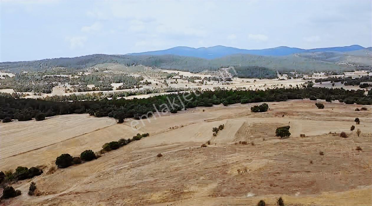 Kütahya Tavşanlı Ağaköy 6159 M2 Tarla Sadece 260 Bın Tl - Görsel 24