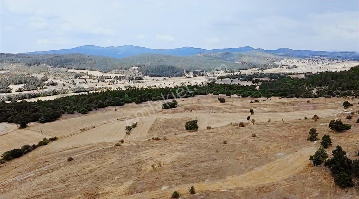 Kütahya Tavşanlı Ağaköy 6159 M2 Tarla Sadece 260 Bın Tl - Görsel 16