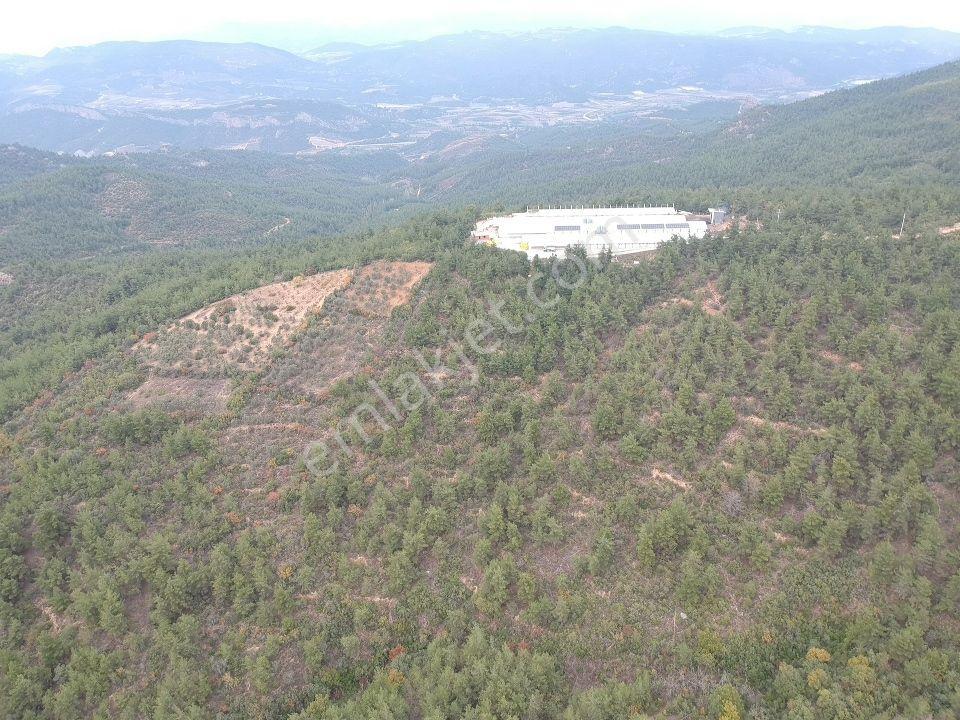Bilecik Osmaneli Balçıkhisar 2193 M2 Meyve Bahçesi Fabrika Yanı - Görsel 11