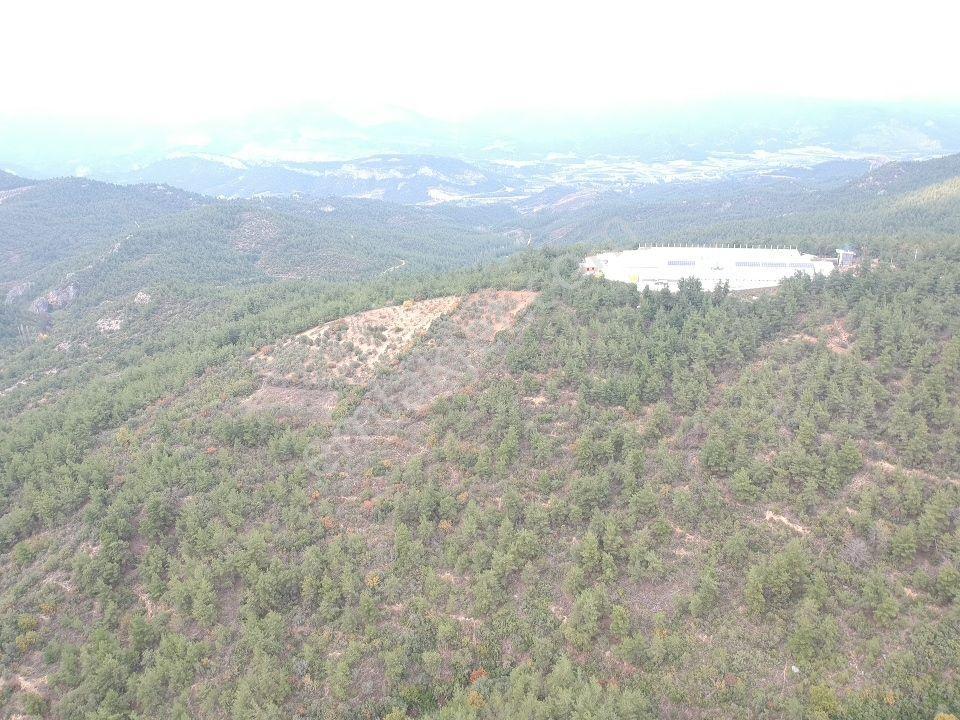 Bilecik Osmaneli Balçıkhisar 2193 M2 Meyve Bahçesi Fabrika Yanı - Görsel 20