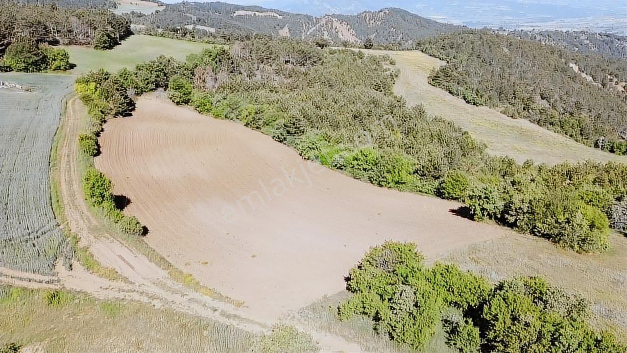 Bolu Göynük Kızılkuyu 6275 M2 Yola Cephe Tarla Oksijen Deposu - Görsel 26