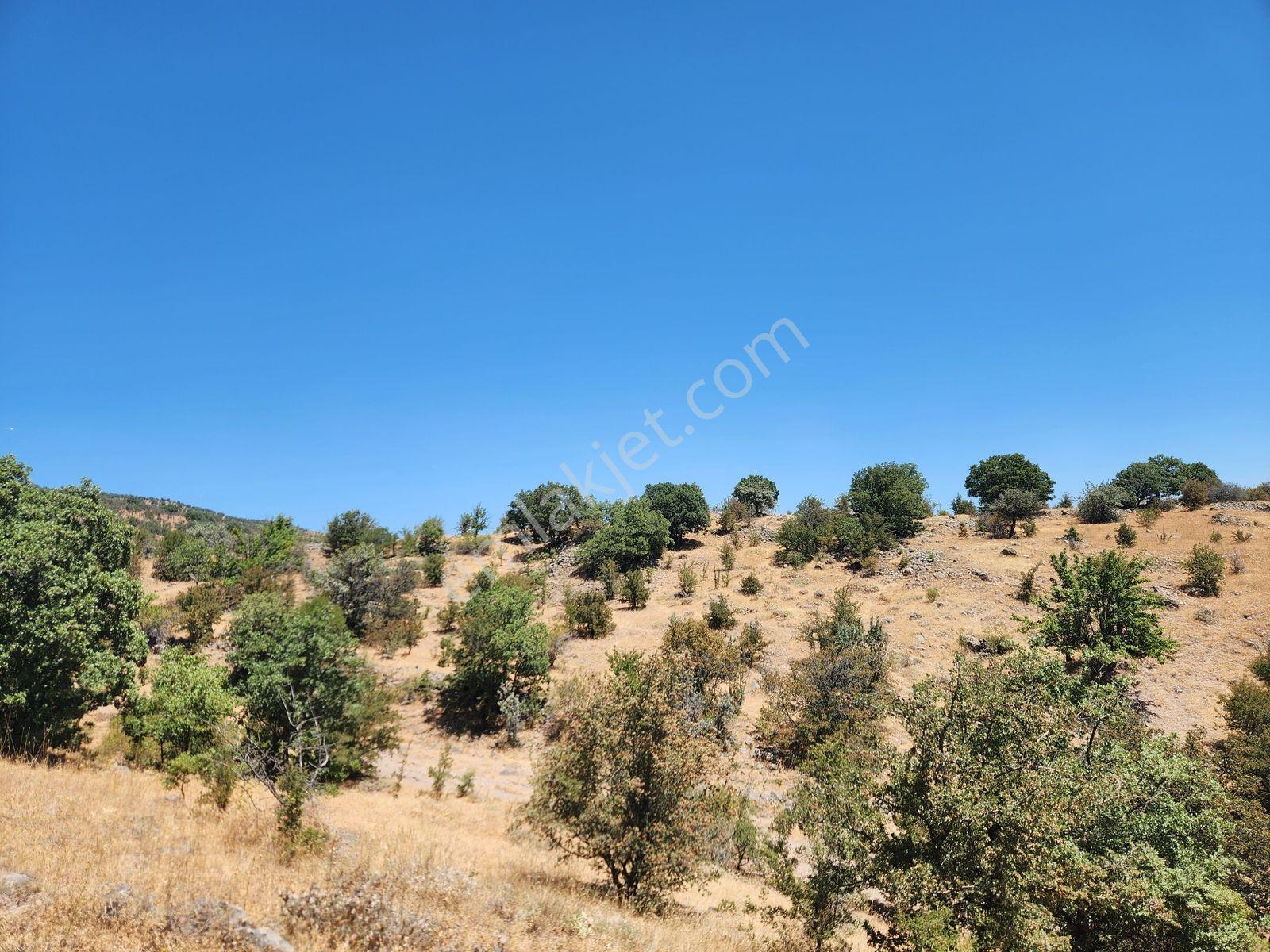 Çankırı Korgun 4750 M2 İmar Yanı Elektrik Yol Su Var Köy Manzaralı - Görsel 26