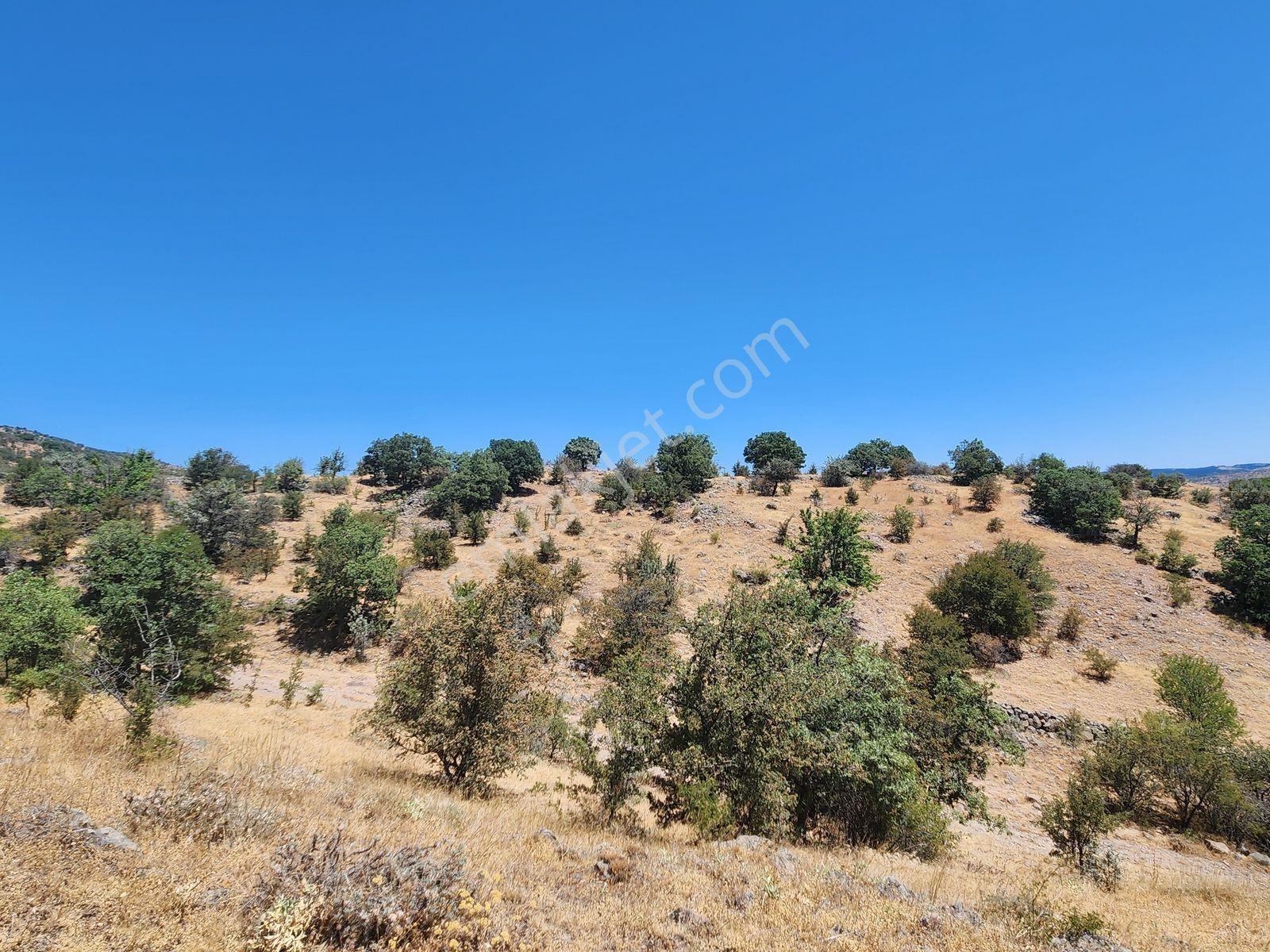 Çankırı Korgun 4750 M2 İmar Yanı Elektrik Yol Su Var Köy Manzaralı - Görsel 35