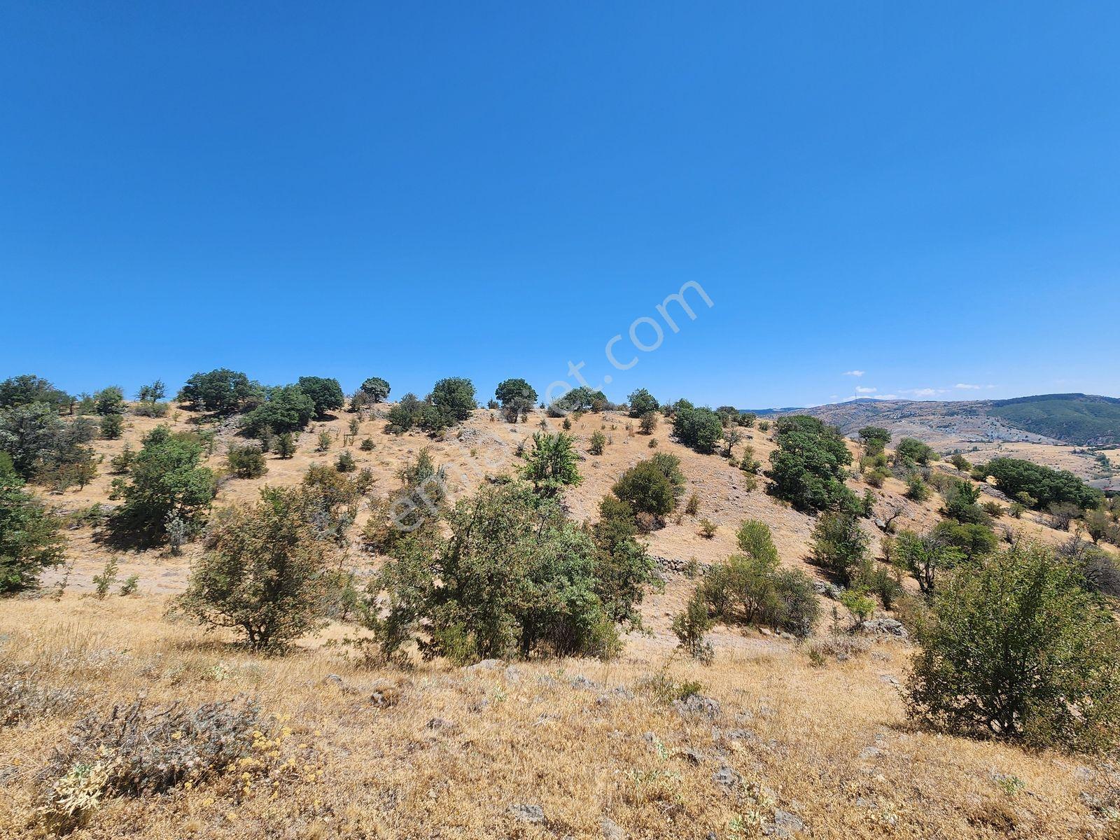 Çankırı Korgun 4750 M2 İmar Yanı Elektrik Yol Su Var Köy Manzaralı - Görsel 22