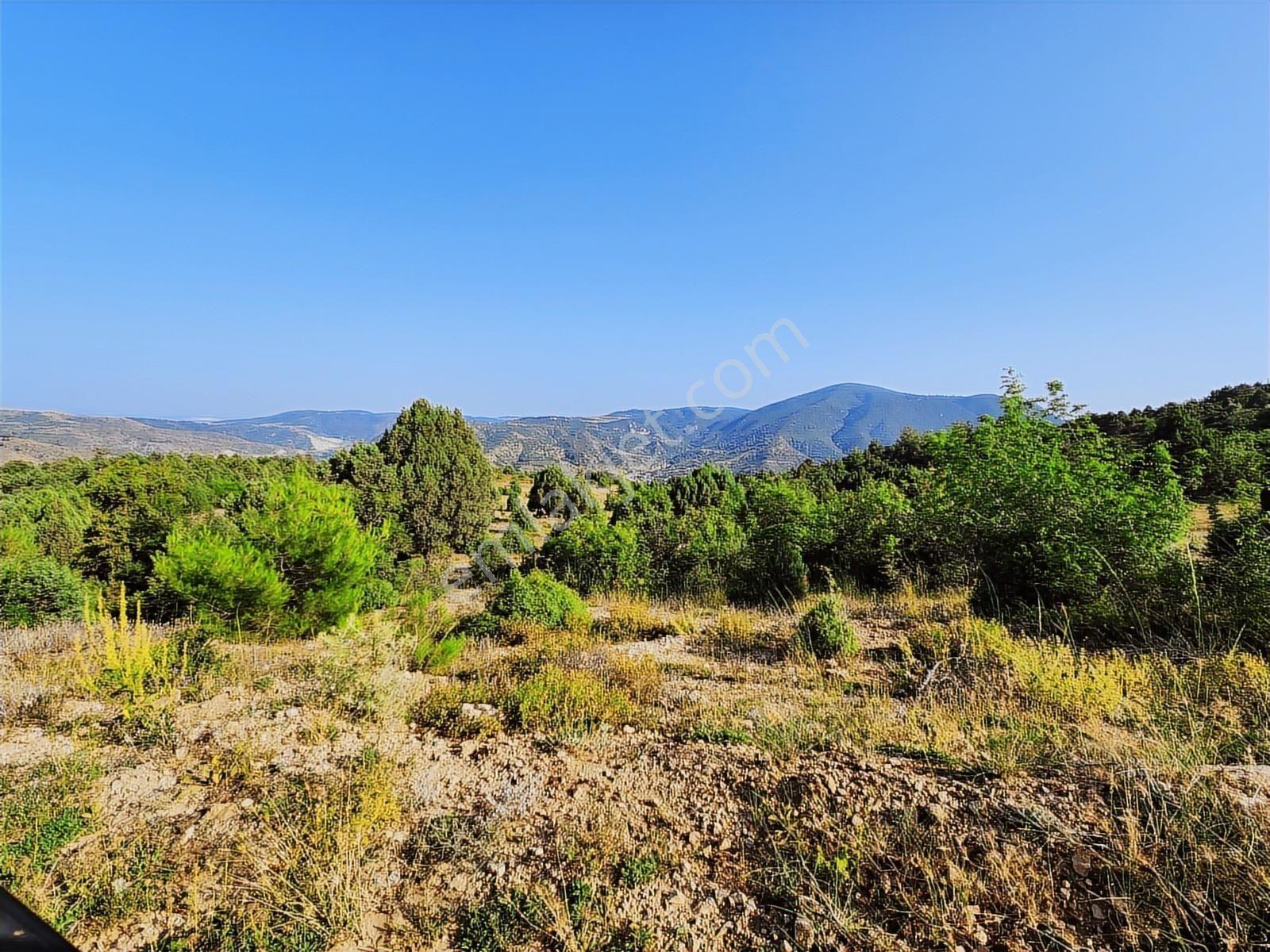 Bılecık Merkez 3 Km Mesafede 5698 M2 Tarla 410 Bin Köy Manzaralı - Görsel 21