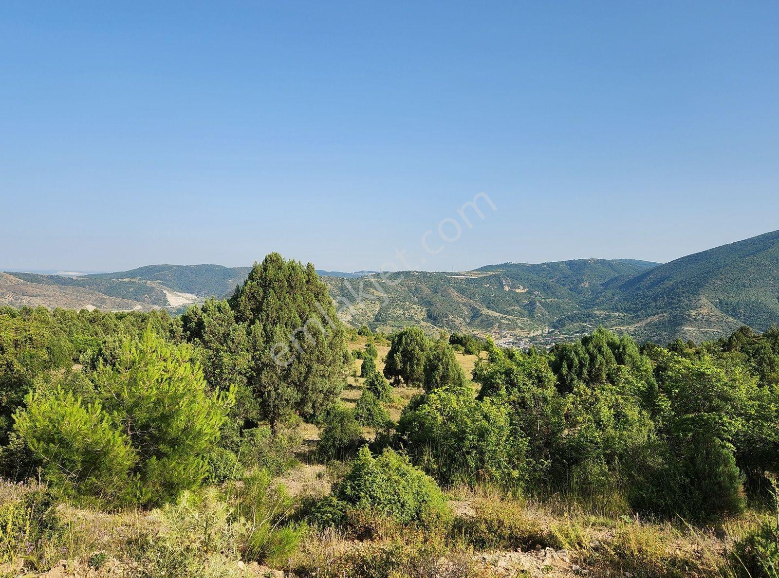 Bılecık Merkez 3 Km Mesafede 5698 M2 Tarla 410 Bin Köy Manzaralı - Görsel 35