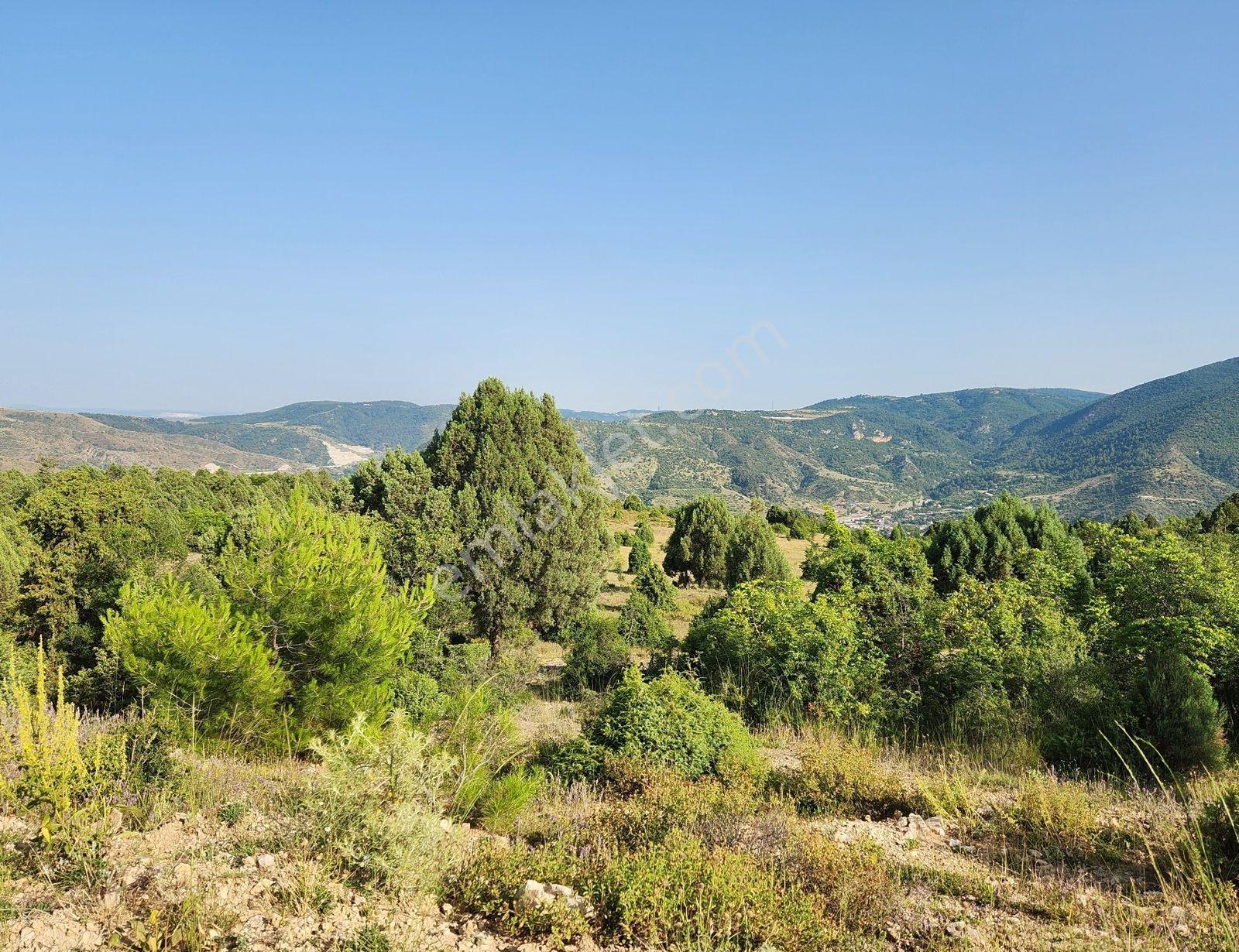 Bılecık Merkez 3 Km Mesafede 5698 M2 Tarla 410 Bin Köy Manzaralı - Görsel 17