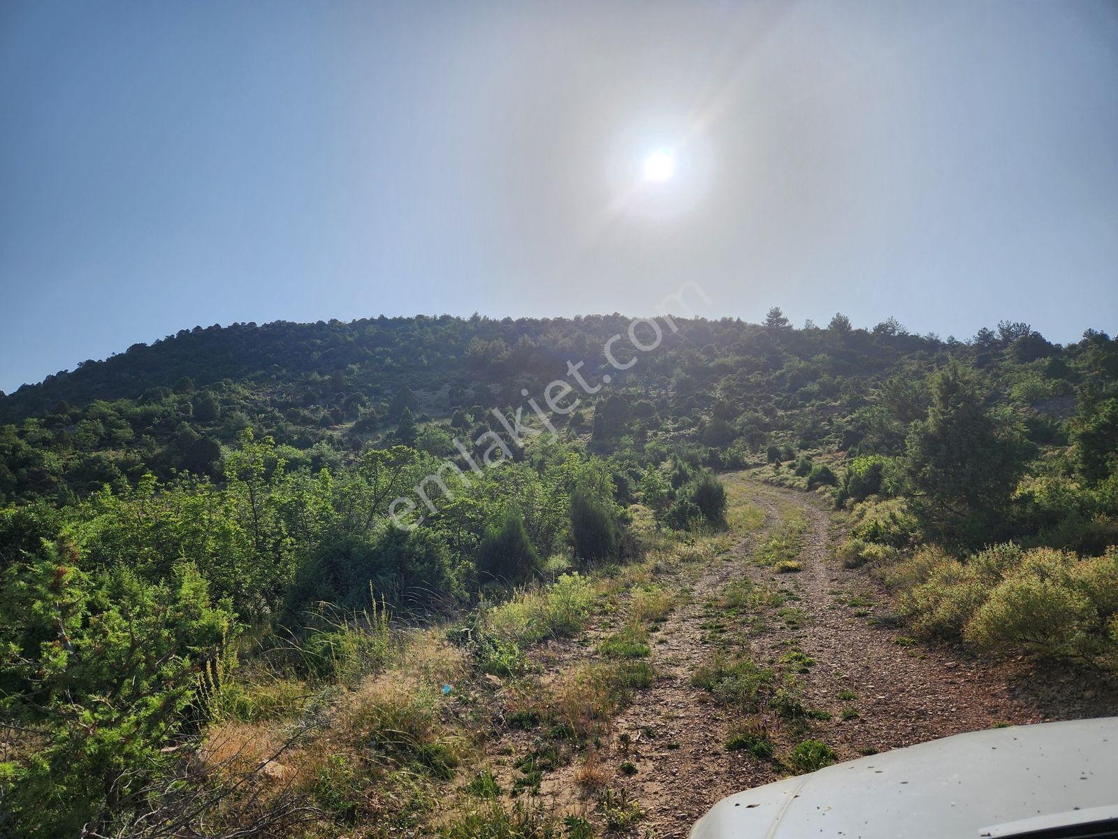 Bılecık Merkez 3 Km Mesafede 5698 M2 Tarla 410 Bin Köy Manzaralı - Görsel 33