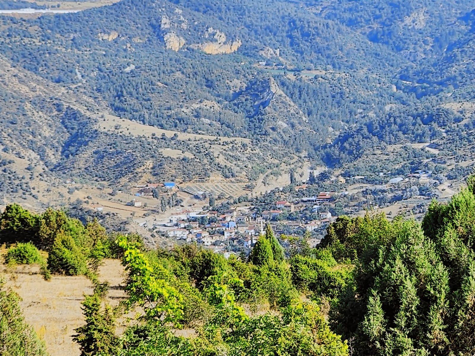 Bılecık Merkez 3 Km Mesafede 5698 M2 Tarla 410 Bin Köy Manzaralı - Görsel 16