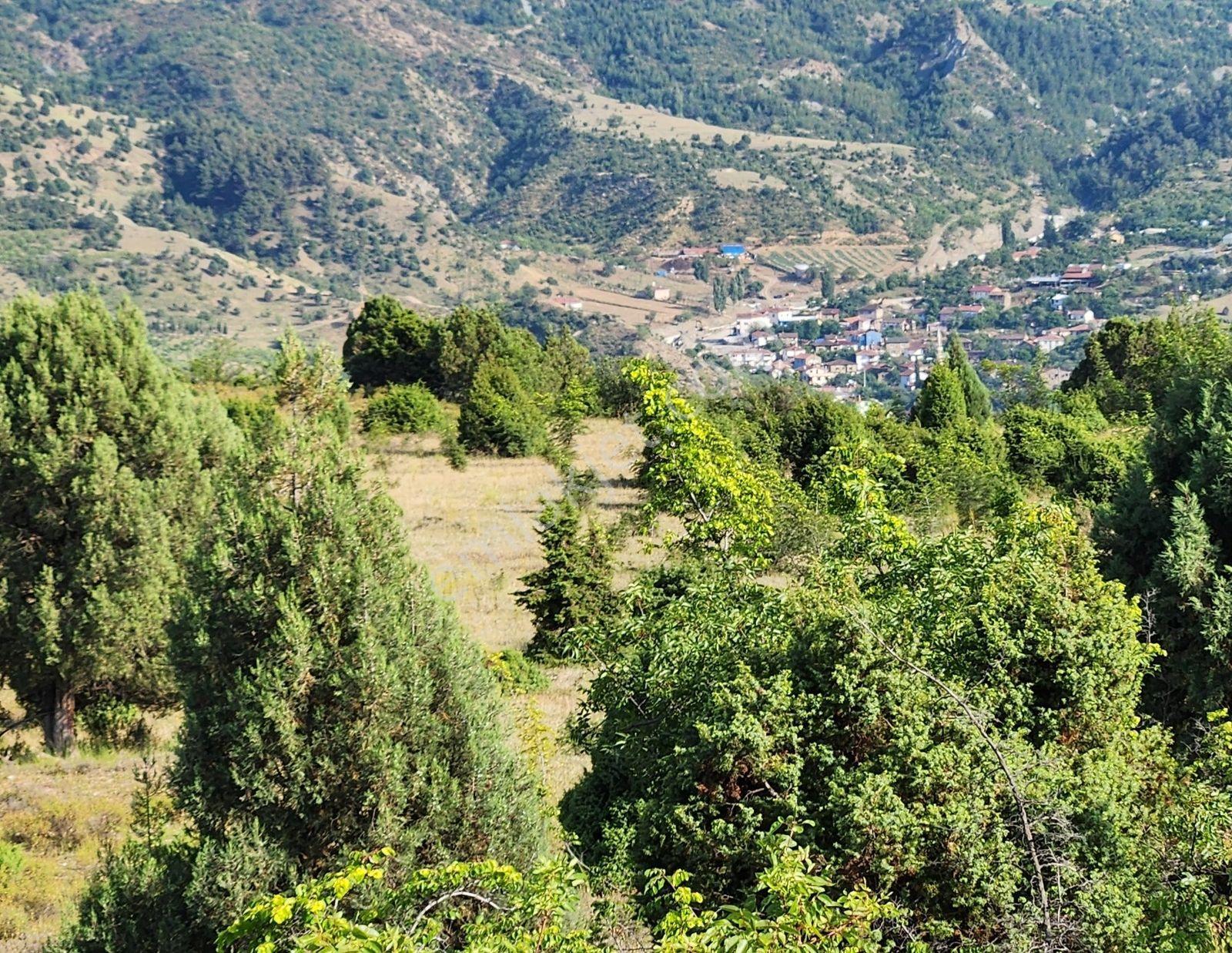 Bılecık Merkez 3 Km Mesafede 5698 M2 Tarla 410 Bin Köy Manzaralı - Görsel 10