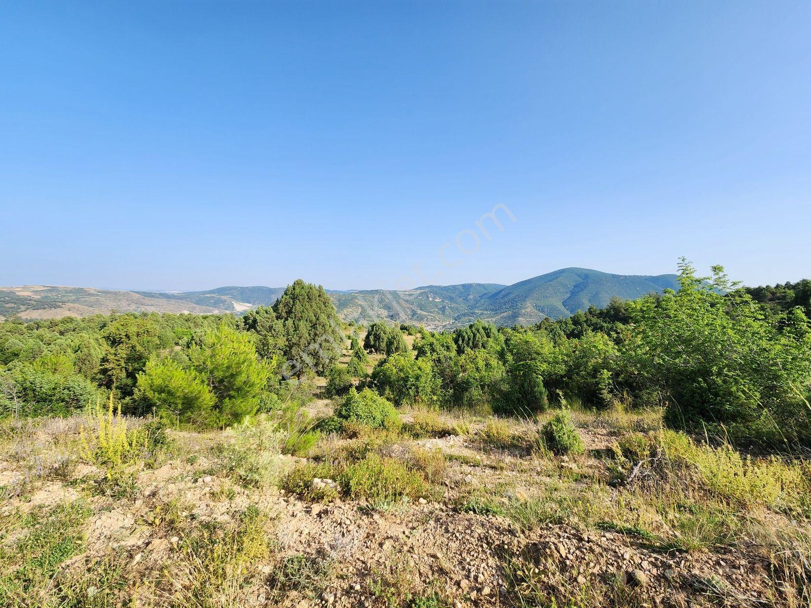 Bılecık Merkez 3 Km Mesafede 5698 M2 Tarla 410 Bin Köy Manzaralı - Görsel 25