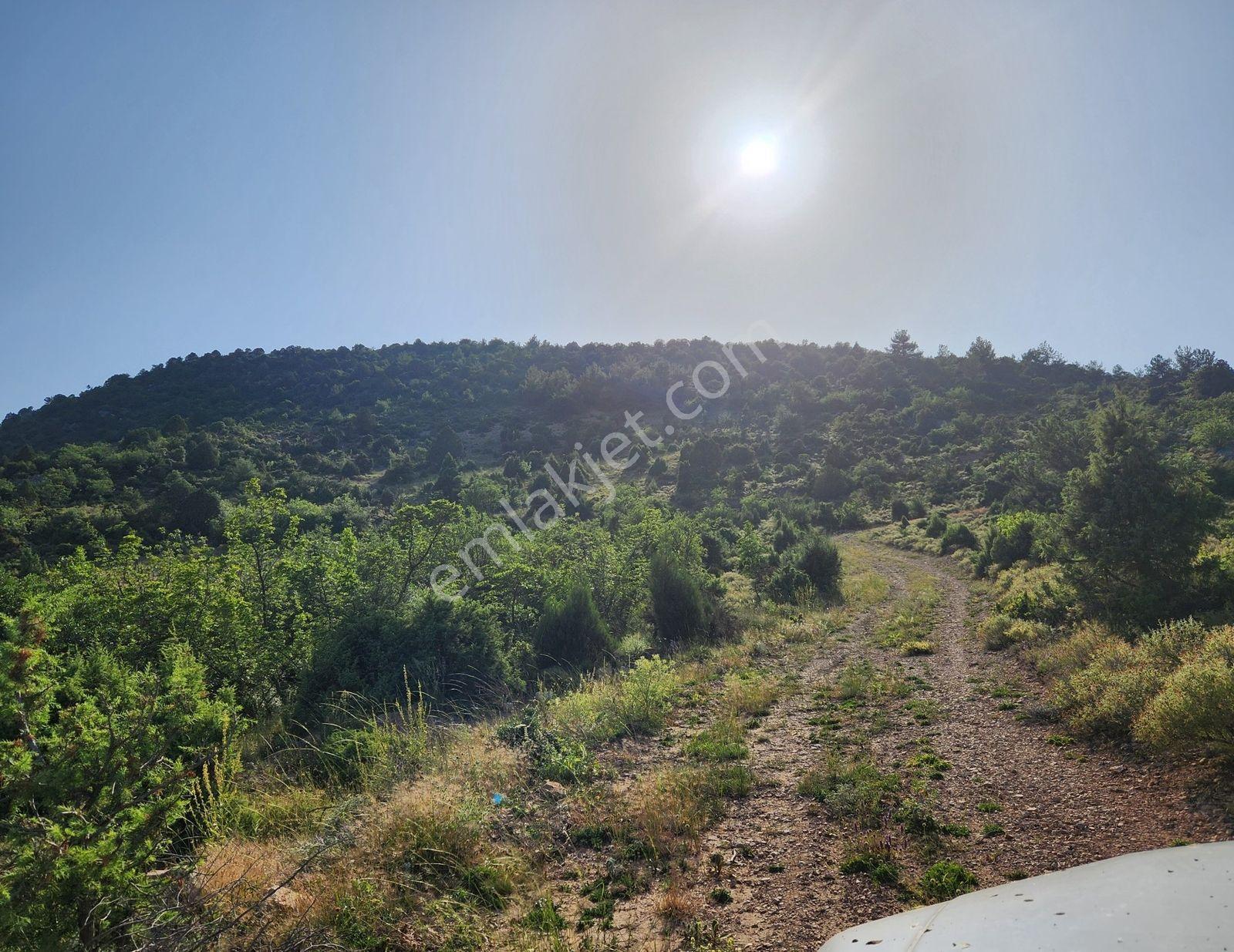 Bılecık Merkez 3 Km Mesafede 5698 M2 Tarla 410 Bin Köy Manzaralı - Görsel 29