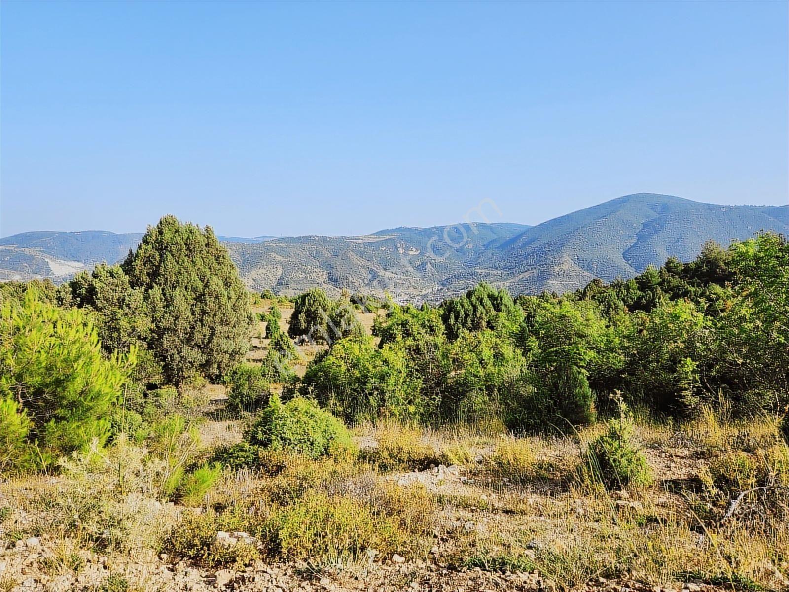 Bılecık Merkez 3 Km Mesafede 5698 M2 Tarla 410 Bin Köy Manzaralı - Görsel 32