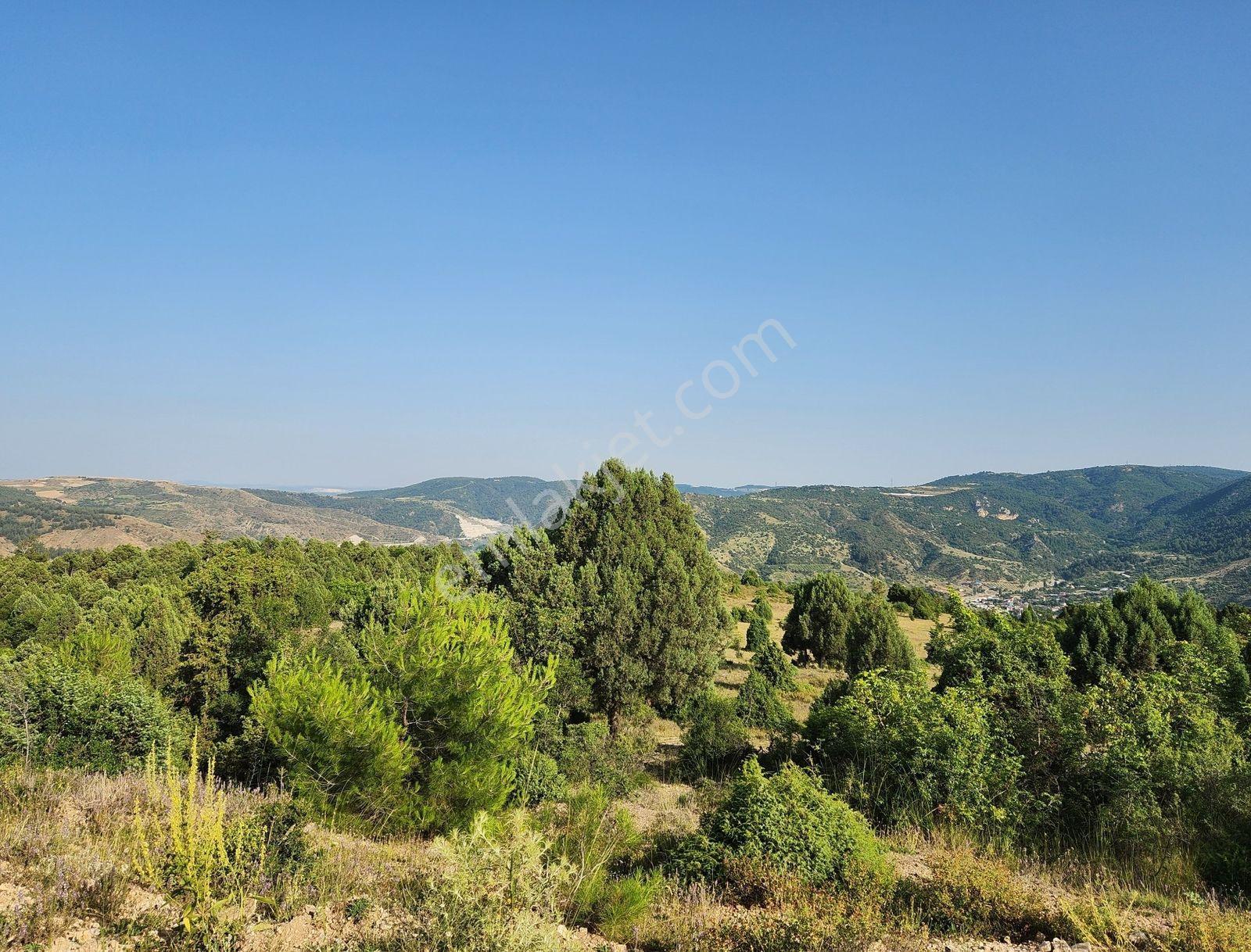 Bılecık Merkez 3 Km Mesafede 5698 M2 Tarla 410 Bin Köy Manzaralı - Görsel 12