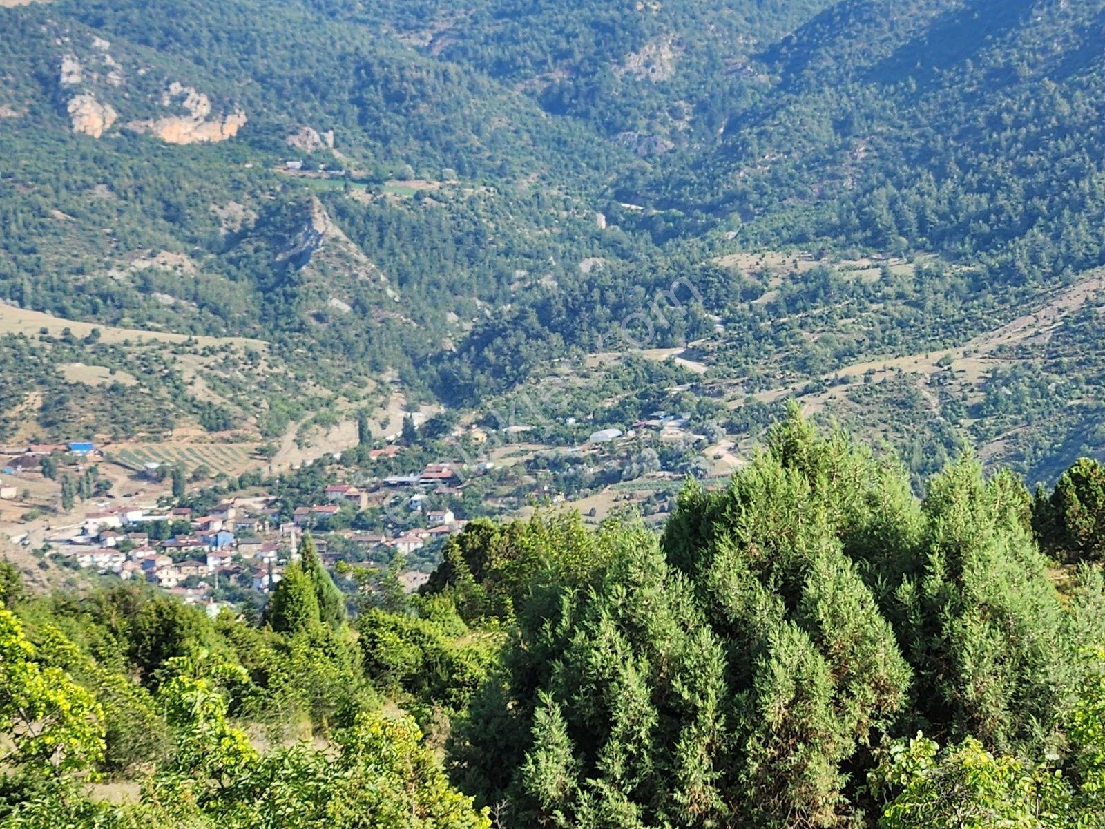 Bılecık Merkez 3 Km Mesafede 5698 M2 Tarla 410 Bin Köy Manzaralı - Görsel 19