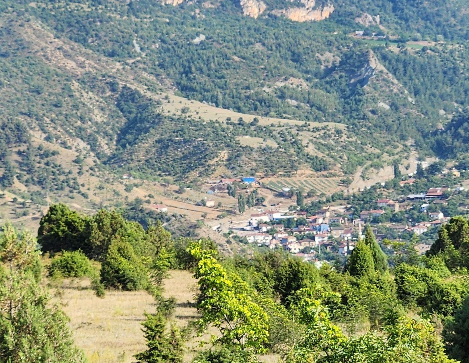 Bılecık Merkez 3 Km Mesafede 5698 M2 Tarla 410 Bin Köy Manzaralı