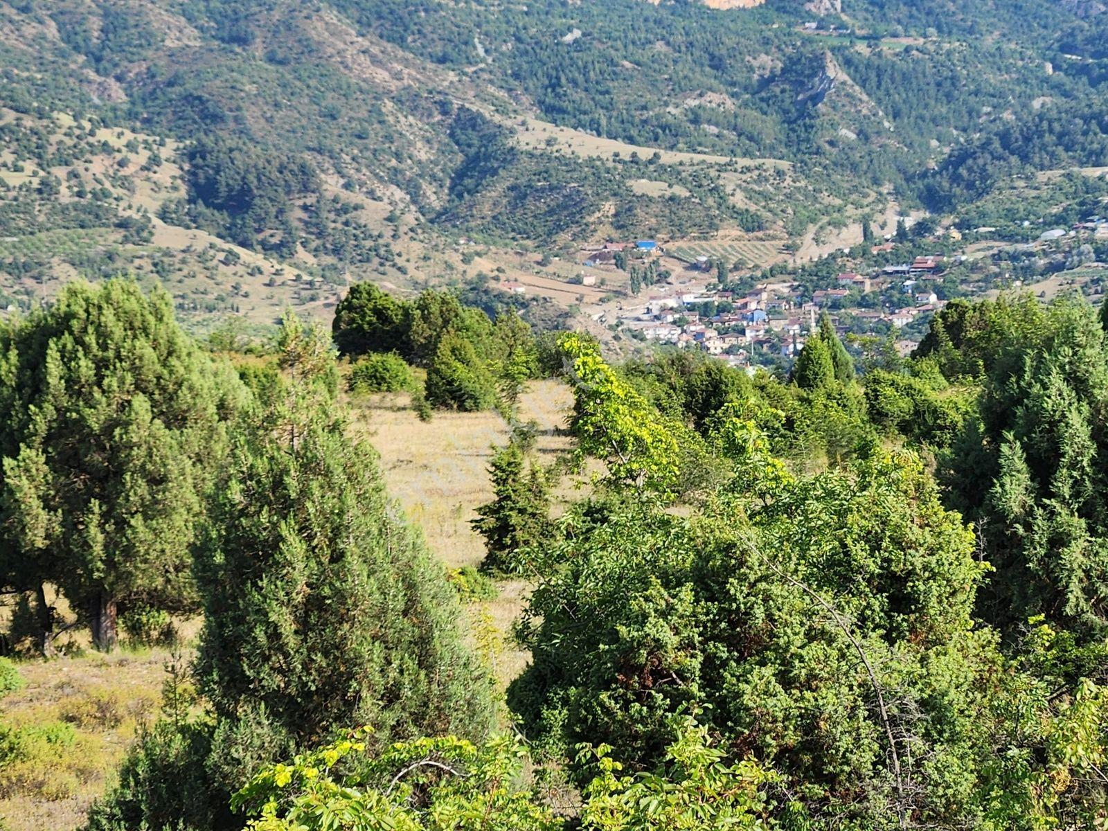 Bılecık Merkez 3 Km Mesafede 5698 M2 Tarla 410 Bin Köy Manzaralı - Görsel 28