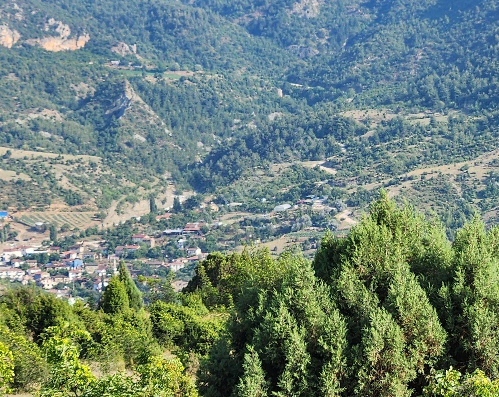 Bılecık Merkez 3 Km Mesafede 5698 M2 Tarla 410 Bin Köy Manzaralı - Görsel 30